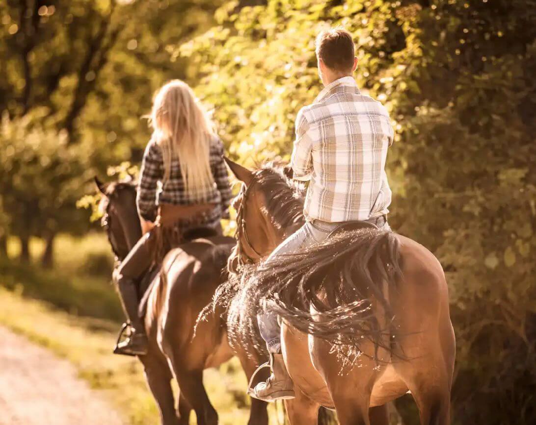 Horseback riding activity icon